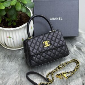 Coco Chanel Bag