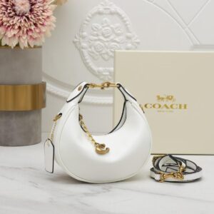 Ultra-soft, effortlessly chic — the Coach Pillow Tabby Moon Bag in white is the ultimate modern mini for women who love fashion with a playful twist. Perfect for brunches, date nights, and everyday elegance.